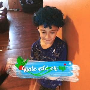 Meet your Posher, Griselda